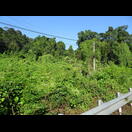 Neben dem Highway ist es grün